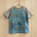 PETIT BATEAU ����󥰥�ץ��� �ԥ���� �ʥ֥롼�ߥ�������